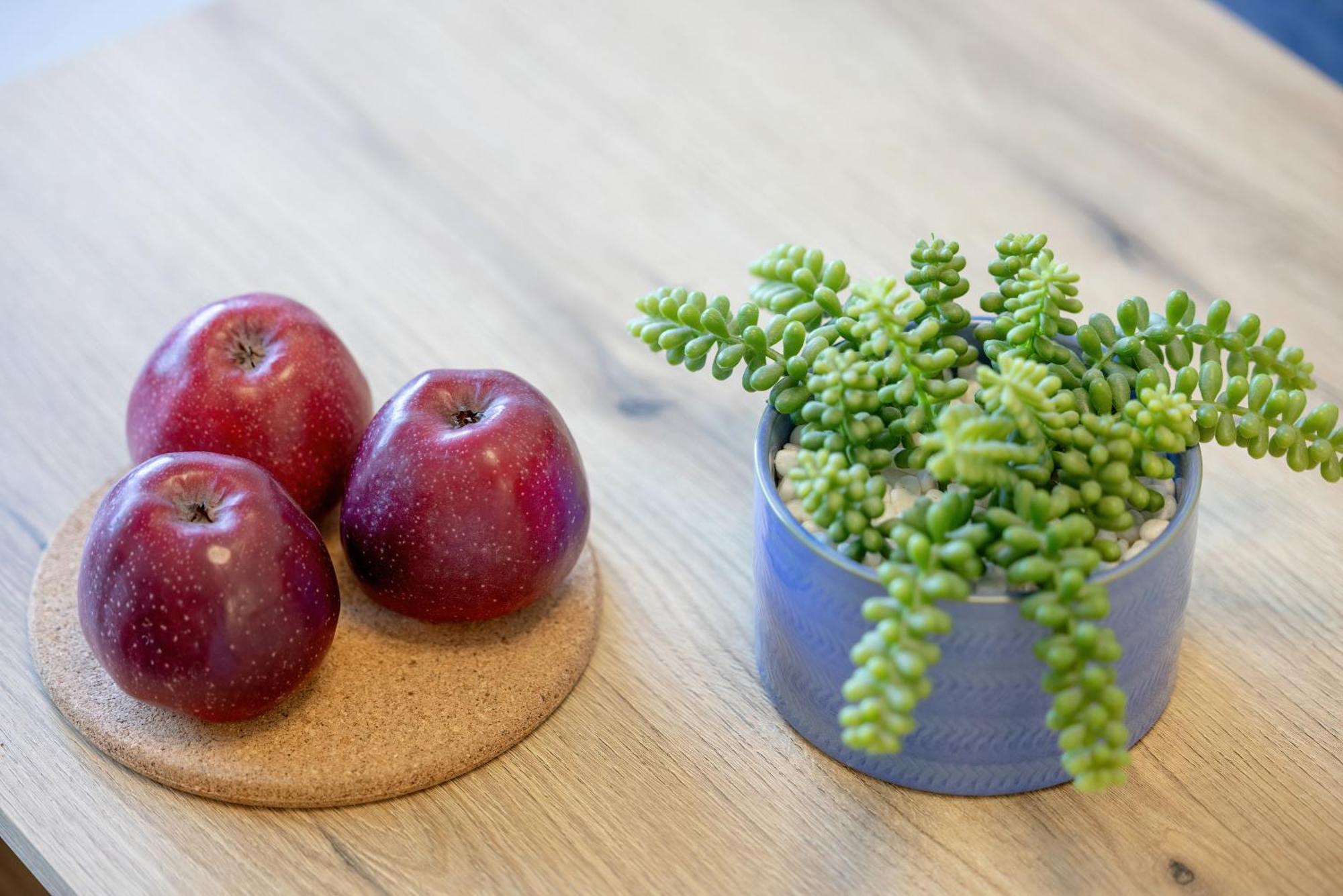 Prestizowe Apartamenty Natural Darlowko By Noclegi Renters Ujście-Darłowskie Buitenkant foto